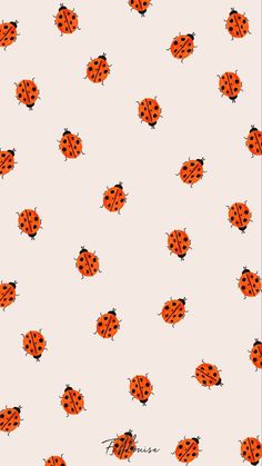 an orange and black ladybug pattern on a white background