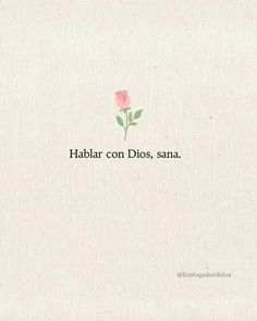 a pink rose with the words habar con dios, sana on it