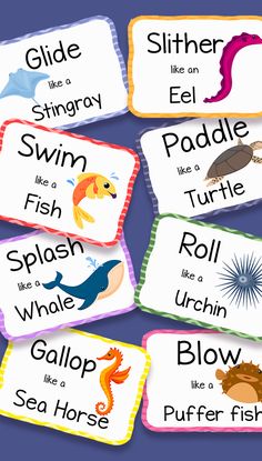 four flash cards with different types of sea animals