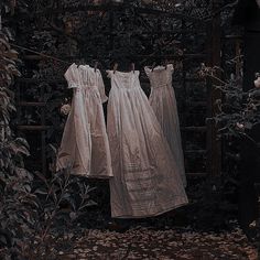 two white dresses hanging on a clothesline in front of some bushes and trees with leaves