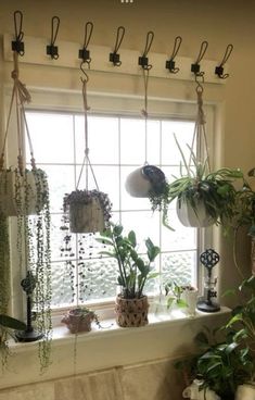 some plants are hanging on the window sill