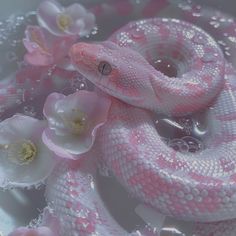 a pink and white snake in water with flowers