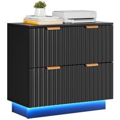 a black cabinet with two drawers and a plant on top