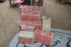 Suitcase Aesthetic, Luggage Aesthetic, Retro Bridal Showers, Pink Luggage, Samsonite Luggage, Funny Animals With Captions, Vintage Suitcases, Best Luggage, Pink Poodle