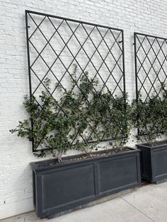 three black planters with green plants in them against a white brick wall