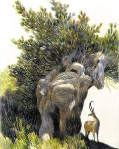 an elephant standing next to a tree with its trunk in the air and another animal behind it