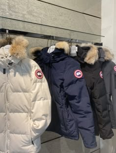 Puffer Jacket Aesthetic, Goose Clothes, Beanie Outfit, North Face Puffer Jacket, Dope Outfits For Guys, Autumn Fits, Fits Clothes, Cute Winter Outfits