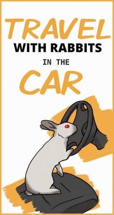 a white rabbit sitting on top of a black and yellow book cover with the words travel with rabbits in the car