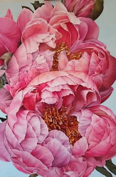 a painting of pink peonies on a white background