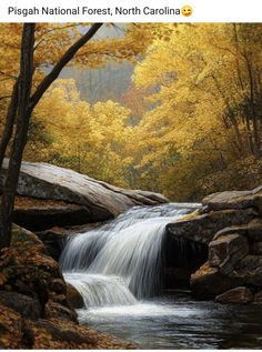 a waterfall in the middle of a forest with yellow leaves on it's trees