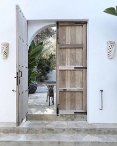 a dog is standing in front of an open door