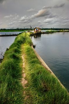 a path along the edge of a body of water that is surrounded by green grass