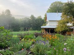 a house surrounded by trees and flowers in the middle of a lush green field with lots of wildflowers