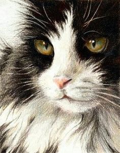 a drawing of a black and white cat with green eyes looking at the camera while sitting down