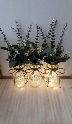 three mason jars filled with plants and lights