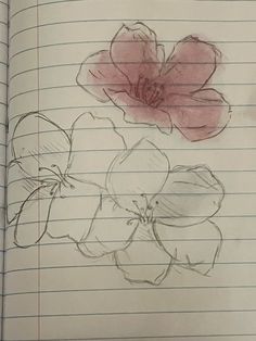 a drawing of two flowers sitting on top of a piece of lined paper next to each other