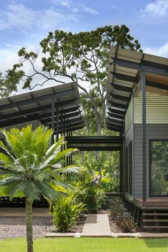 a modern house with trees and plants in the front yard