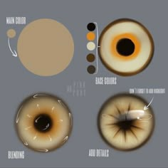 an image of different types of eye colors