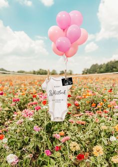 a bunch of balloons that are in the air over a field full of wildflowers