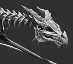 the skeleton of a dinosaur is shown in black and white