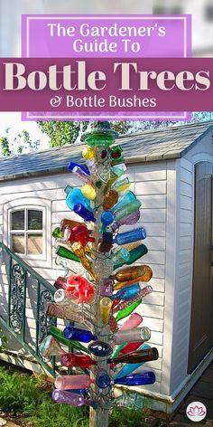 the gardener's guide to bottle trees and bottle bushes cover image with text overlay