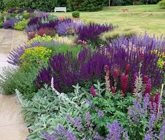 a garden filled with lots of purple and yellow flowers