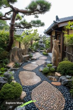 a garden with rocks and plants in it