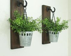 two potted plants are hanging on the wall