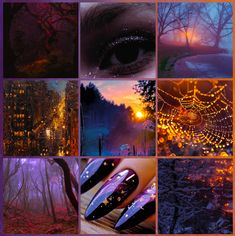 a collage of photos with trees and lights in the background, including a woman's eye