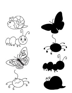 butterflies and caters are shown in black and white