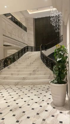 a plant in a pot sitting on top of a marble floor next to a set of stairs