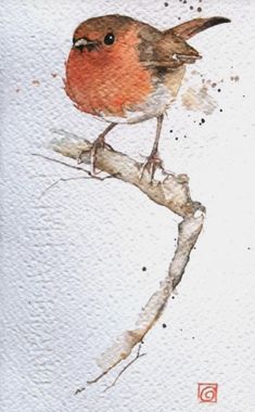 a watercolor painting of a bird sitting on a branch with brown and red feathers