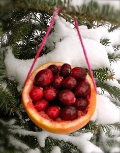 a grapefruit ornament hanging from a tree in the snow with berries on it