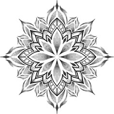 a black and white drawing of a flower with leaves in the shape of a snowflake