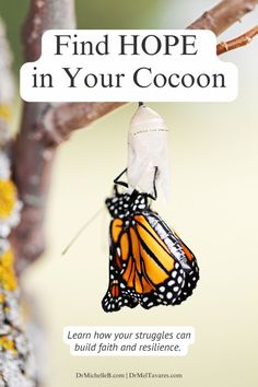 a monarch butterfly hanging from a tree branch with the words find hope in your cocoon