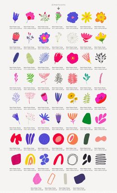 an illustrated poster with different types of flowers