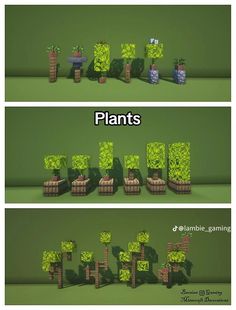 some plants that are in different stages of growing and sitting on top of each other