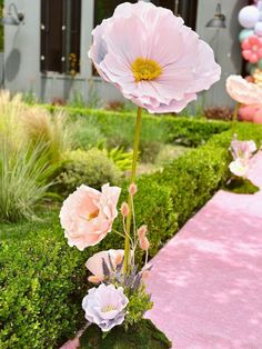 pink and white flowers are on display in a garden