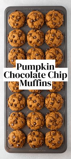 pumpkin chocolate chip muffins on a baking tray with the title overlay reading pumpkin chocolate chip muffins