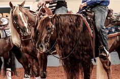 two men are riding horses in the dirt