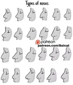 the different types of nose shapes