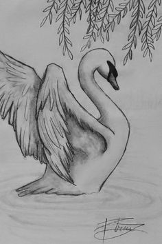 a black and white drawing of a swan