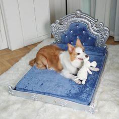 a dog laying on top of a blue bed with a stuffed animal in it's mouth