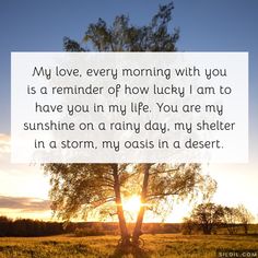 a tree with the sun setting behind it and a quote about my love, every morning