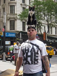 a man with a black and white cat on top of his head in the city