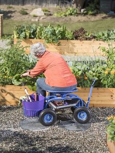 an elderly man in a wheel chair tending to his garden