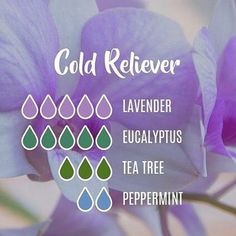 Essential Oils For Colds, Essential Oil Remedy, Young Living Essential Oils Recipes, Oil Diffuser Recipes