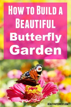 a butterfly sitting on top of a flower with the words how to build a beautiful butterfly garden