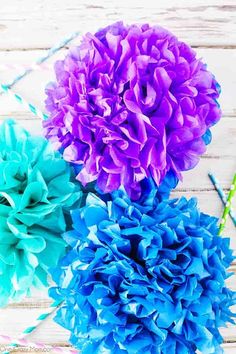 three blue and purple flowers sitting on top of a white wooden table next to each other