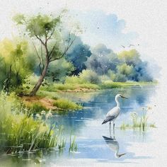 a watercolor painting of a white bird standing in the middle of a lake surrounded by grass and trees